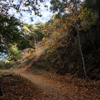 Sierra Azul Open Space Preserve - Parks Near Me - Los Gatos, California Sierra Azul Open Space Preserve - Parks Near Me - Los Gatos, California