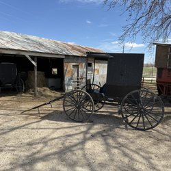 Amish Tours of Harmony - Beautiful buggy that still used to this day