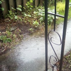 OMNI Property Management - Flooding damage that was promised to be taken care of for 6 year's