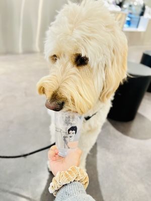 Dont Yell At Me by null