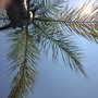 Photo of Coconut Grove Resort