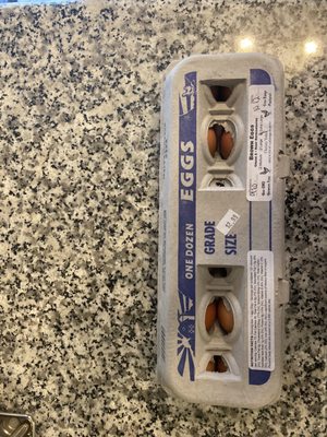 Yoder's Meat & Cheese Co by null