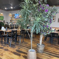 Beelicious Thai Cuisine - August 28, 2025 - Very pleasant interior.