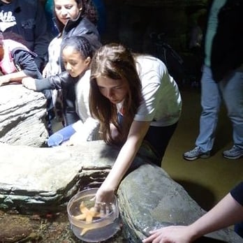 Sealife - Aquariums Near Me - London, XGL