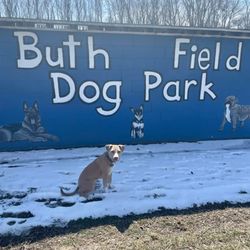 Sparta Buth Field Dog Park
