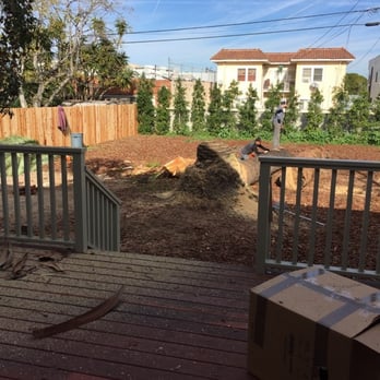 Matilde's Tree Service - This picture shows immediately right after the last part of tree was cut down. The crew removed the stump later. - Tree Services Near Me Matilde's Tree Service - This picture shows immediately right after the last part of tree was cut down. The crew removed the stump later. - Tree Services Near Me