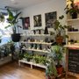 Photo of Angelica Flowers & Events