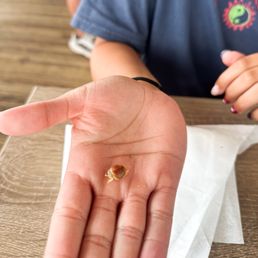 Little crabby friend on the oyster Little crabby friend on the oyster