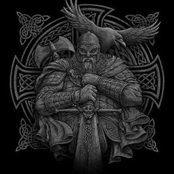 Master Plumber & Drain Service