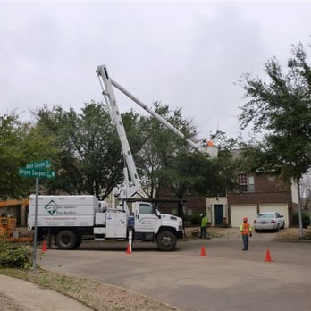 Arbor Masters Tree Service - Arbor Masters Tree Service of Grapevine, TX; experts in emergency storm response. - Tree Services Near Me - Grand Prairie, Texas Arbor Masters Tree Service - Arbor Masters Tree Service of Grapevine, TX; experts in emergency storm response. - Tree Services Near Me - Grand Prairie, Texas