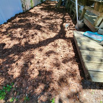 Nieves Lawn Care - Lawn Services Near Me Nieves Lawn Care - Lawn Services Near Me