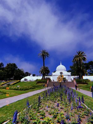 Conservatory of Flowers by null