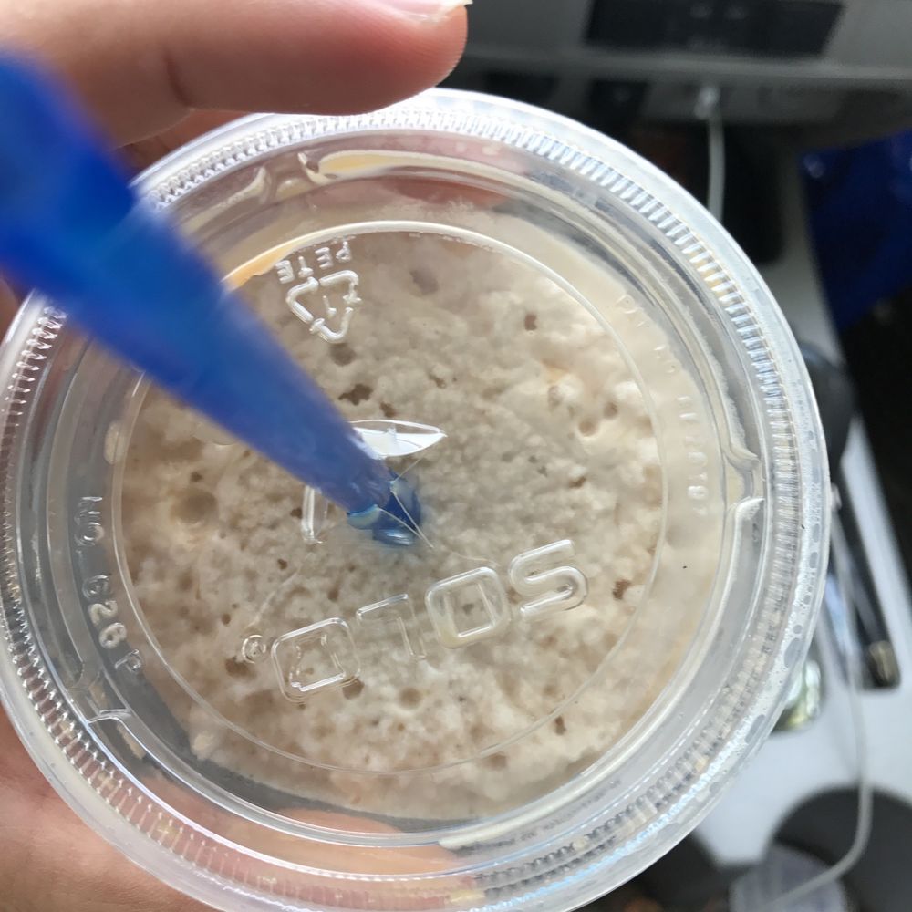 Peet's Coffee - Coffee & Tea Near Me - San Jose, California