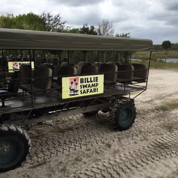 Billie Swamp Safari - The buggy ride is awesome! - Zoos Near Me - Clewiston, Florida Billie Swamp Safari - The buggy ride is awesome! - Zoos Near Me - Clewiston, Florida