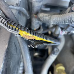 Camping World - Denton - Melted Insulation