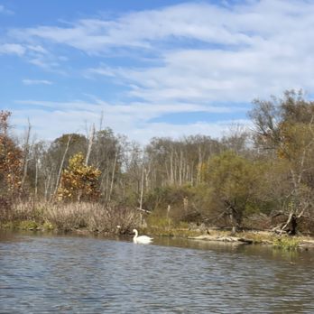 Sunrise Kayaking - Surprise friend on the river - Rafting/Kayaking Near Me