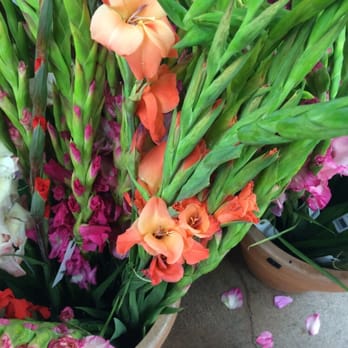 Trader Joe's - Beautiful Gladiolus ( 5 stems for 1.99 ) - Grocery Near Me - Phoenix, Arizona