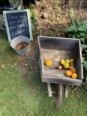 Kona Coffee Living History Farm by null