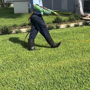 JD Smith Pest Control - Pest Control Near Me - Clearwater, Florida