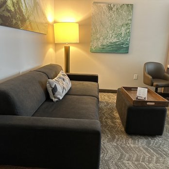 SpringHill Suites by Marriott Miami Doral - Room - Hotels Near Me - Miami, Florida