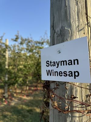 Terhune Orchards by null