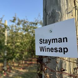Terhune Orchards