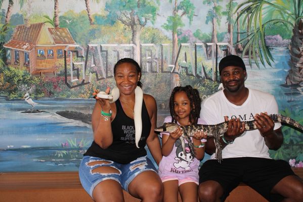 Gatorland by null