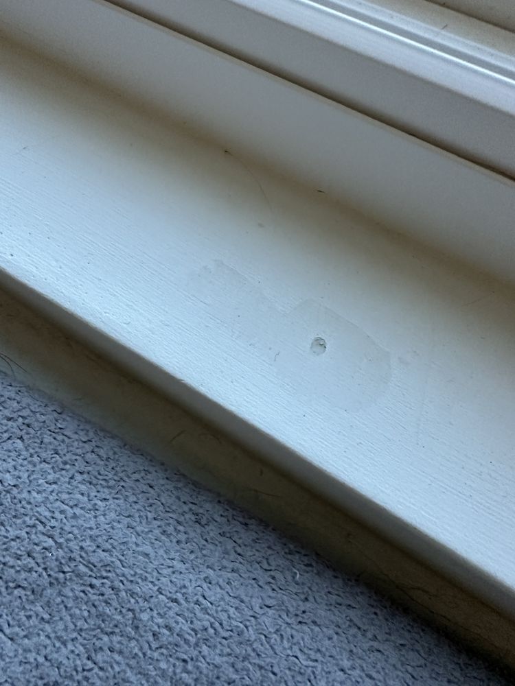 Slide of The Termite Guy