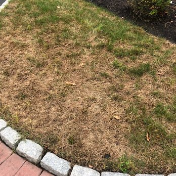 4everGreen Turf Management - Burned grass!! - Pest Control Near Me - West Warwick, Rhode Island 4everGreen Turf Management - Burned grass!! - Pest Control Near Me - West Warwick, Rhode Island