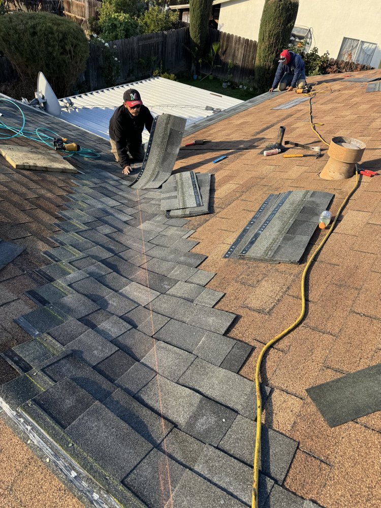 Slide of LXS Roofing