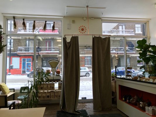 Dave Plant Food by null