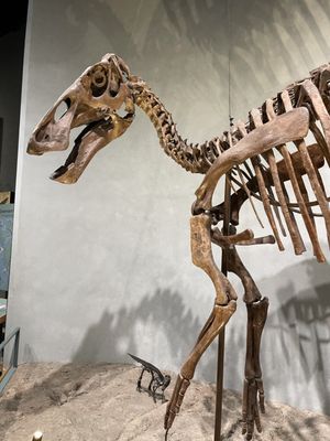 Denver Museum of Nature and Science