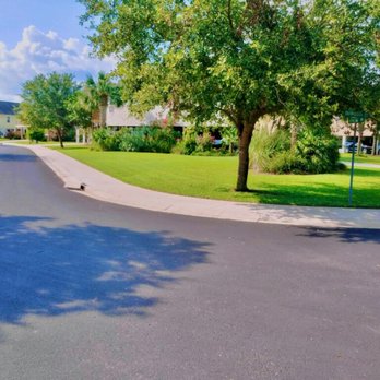 Holly Greens Minded - Landscaping - Landscaping Near Me - Holly Ridge, North Carolina Holly Greens Minded - Landscaping - Landscaping Near Me - Holly Ridge, North Carolina
