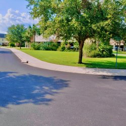Holly Greens Minded - Landscaping