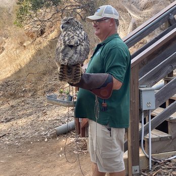 Catalina Eco Zip Line Tours - Ruby the owl - Tours Near Me - Avalon, California Catalina Eco Zip Line Tours - Ruby the owl - Tours Near Me - Avalon, California