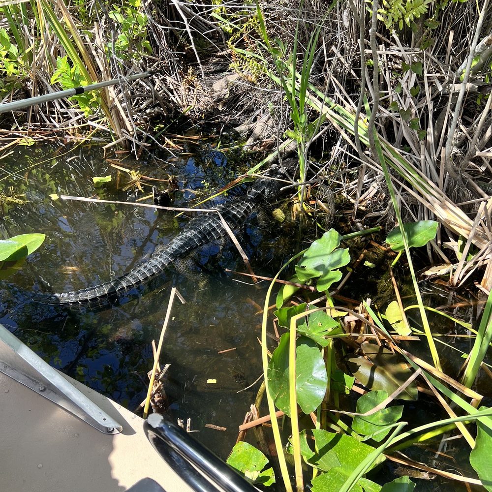 Everglades Airboat Expeditions - Boat Tours Near Me Everglades Airboat Expeditions - Boat Tours Near Me