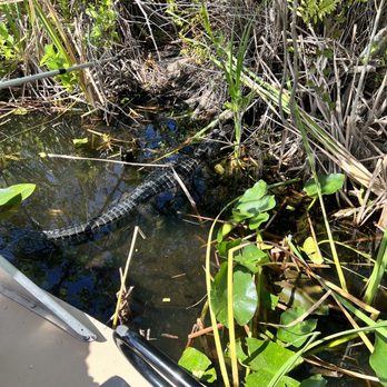 Everglades Airboat Expeditions - Boat Tours Near Me Everglades Airboat Expeditions - Boat Tours Near Me