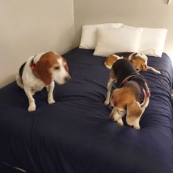 Martin's Motel - All the comforts of home.