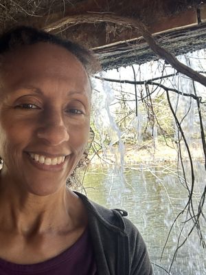 Clark Gardens by null