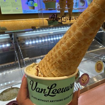 Van Leeuwen - 2 scoops in a cup with a waffle cone! - Ice Cream & Frozen Yogurt Near Me - Chicago, Illinois