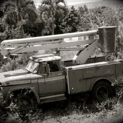The view from the back porch. Cool old truck.