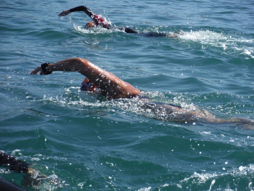 Equinox Fitness Logo