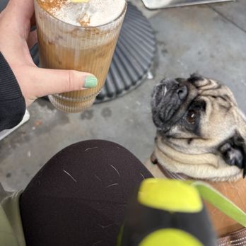 Mad Coffee - Dog friendly patio and banana coffee! - Coffee & Tea Near Me - Santa Ana, California Mad Coffee - Dog friendly patio and banana coffee! - Coffee & Tea Near Me - Santa Ana, California