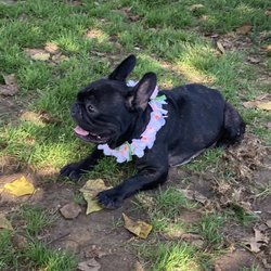 Dusty Rhodes Park