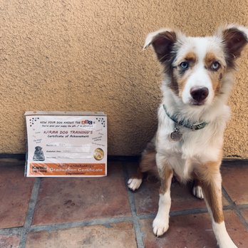 Karma Dog Training - Pet Training Near Me Karma Dog Training - Pet Training Near Me