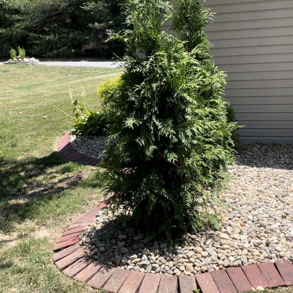 Stone Landscaping - a small tree in the front yard - Landscaping Near Me - Edwardsville, Illinois Stone Landscaping - a small tree in the front yard - Landscaping Near Me - Edwardsville, Illinois