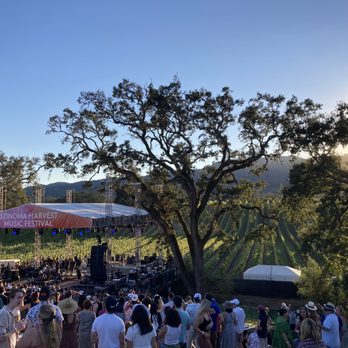 B.R. Cohn Winery - Love coming here for Sonoma Harvest Music Festival! 2022 headliner was Portugal. The Man! - Wineries Near Me - Glen Ellen, California