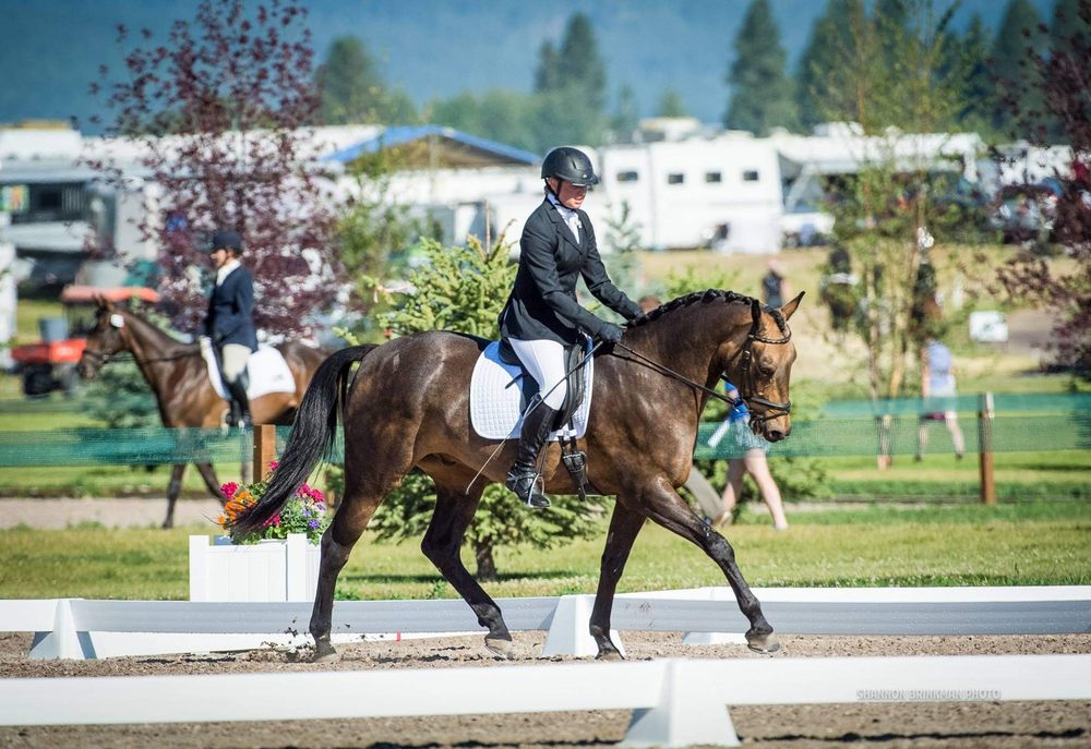 Boldly Forward Equestrian - equestrian in Lehi, UT
