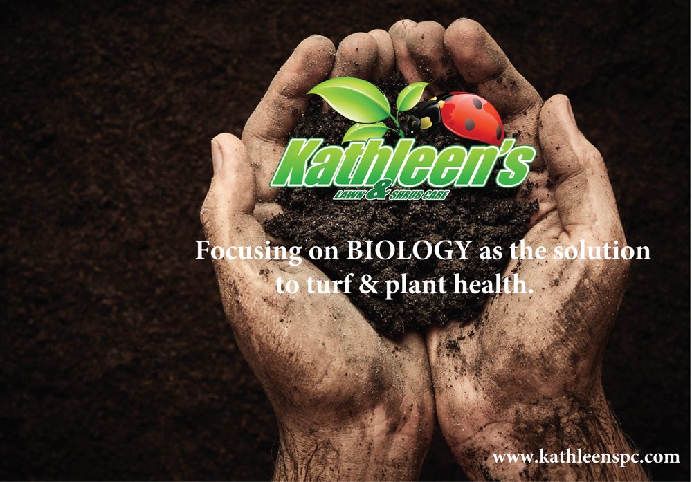 Kathleen's Lawn & Shrub Care - tree service in Augusta, GA