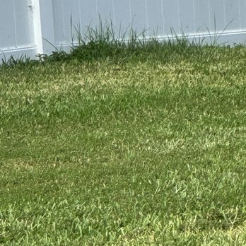 Hogan Landscapes - Landscaping Near Me Hogan Landscapes - Landscaping Near Me